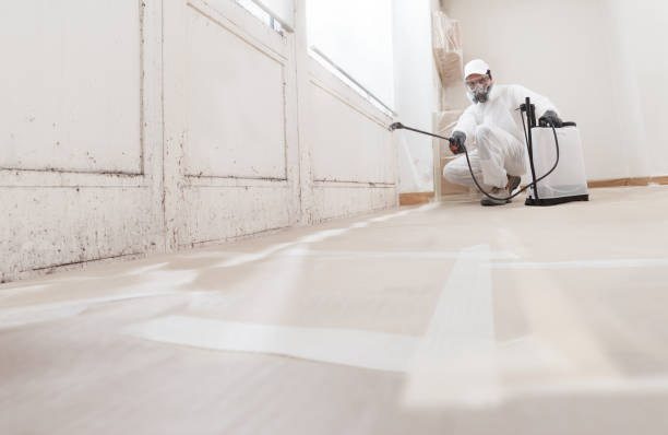 Black mold remediation team in Venice